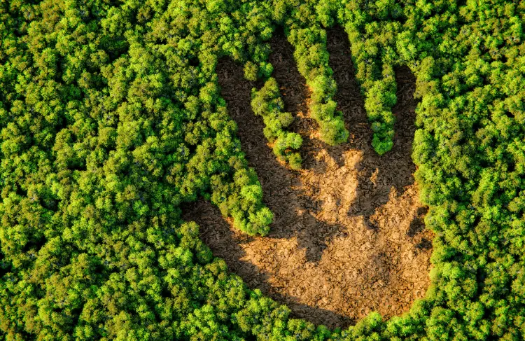 Environmental